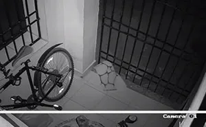 Este hombre instaló una cámara para pillar al ladrón que no dejaba de robar sus cosas, y no podía creer lo que veía