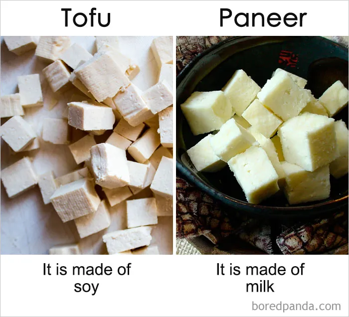 39 ‘Same’ Things That Most People Don't Know Are Actually Different
