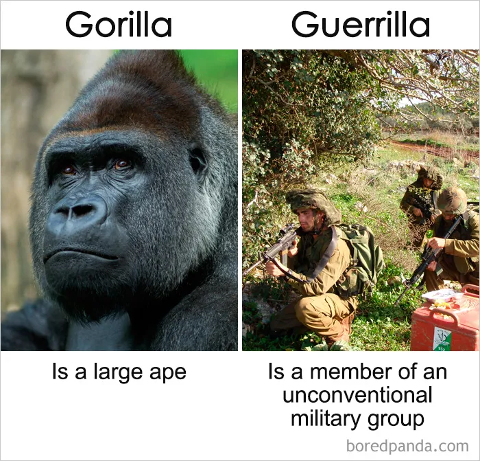 39 ‘Same’ Things That Most People Don't Know Are Actually Different