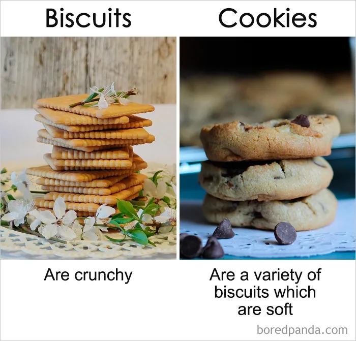 39 ‘Same’ Things That Most People Don't Know Are Actually Different
