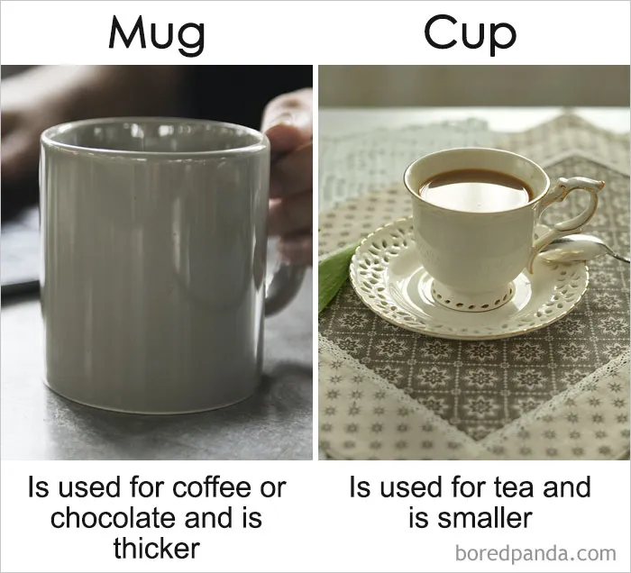 39 ‘Same’ Things That Most People Don't Know Are Actually Different