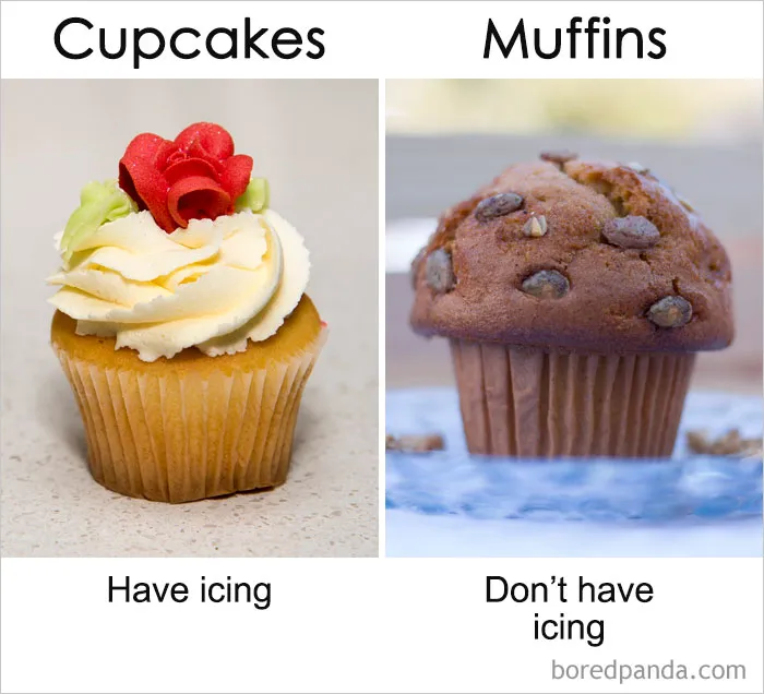 39 ‘Same’ Things That Most People Don't Know Are Actually Different