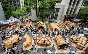 Amazing Cardboard House Exhibition