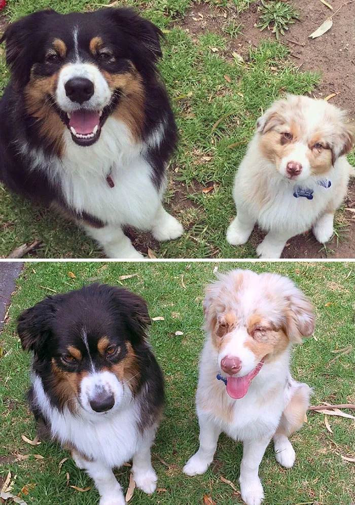 Three Months Later. The Face When Your Baby Brother Outgrows You