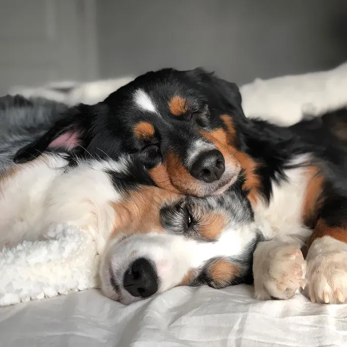 Durmiendo en paz