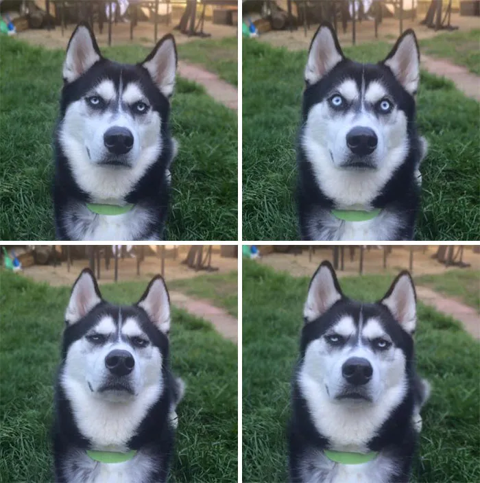 Mum Pretended To Throw A Ball And Caught The Exact Moment I Realised She Had Betrayed Me. She Found This Very Funny Indeed