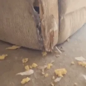 Monstruito