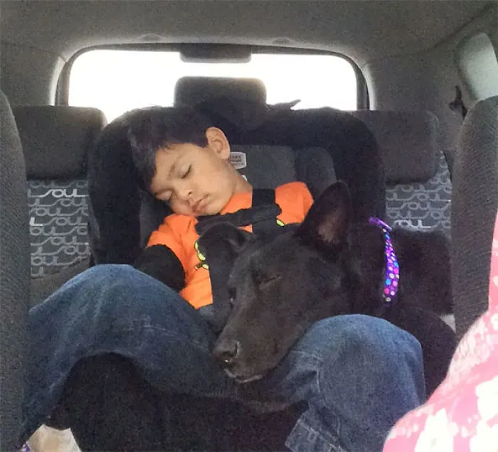 Mi hijo y el perro que adoptamos hace 20 minutos