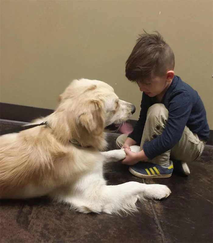 Mi hijo dándole ánimos al perro antes de que vuelva el veterinario