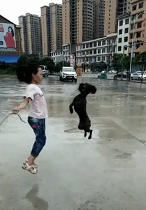 Perro y niña saltando a la comba