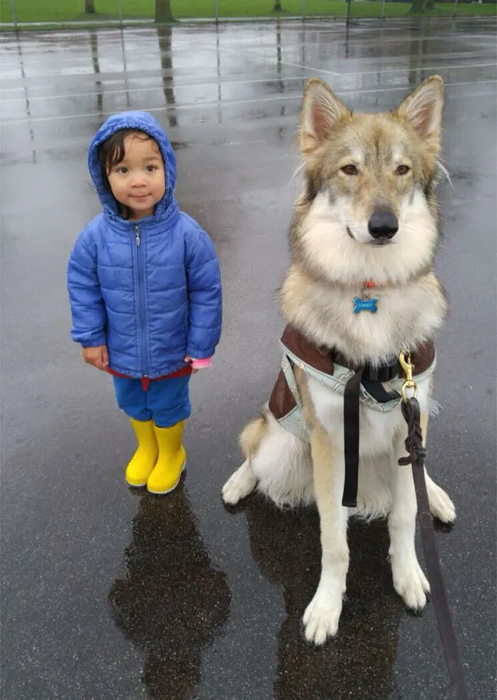 Nadie se mete con mi sobrina