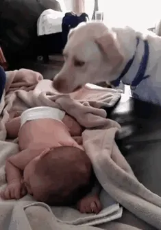 El humano tiene frío. Debo taparlo
