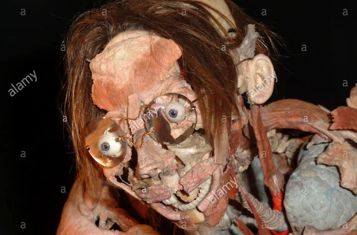 Horrible anatomical face with glasses