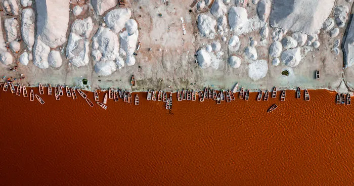 Feeding On Salt-The Zipper Of The Earth