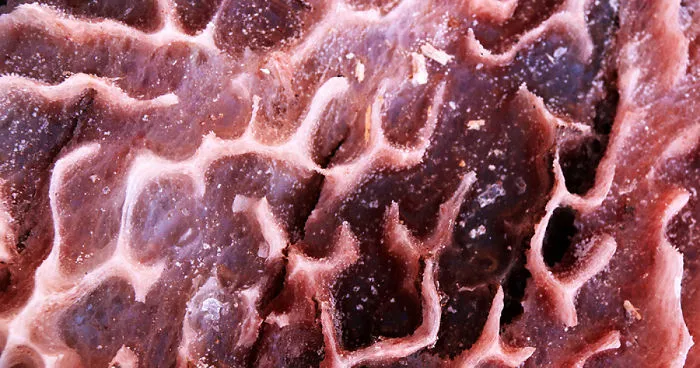I Traveled To Ancient Region And Saw Amazing Shapes That Made By Salt