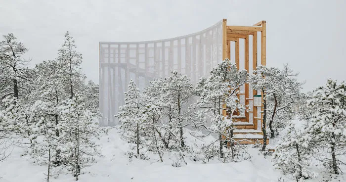 Estonia, Where Winter Still Prevails: Students Build A Staircase-Tower For Bog Watching