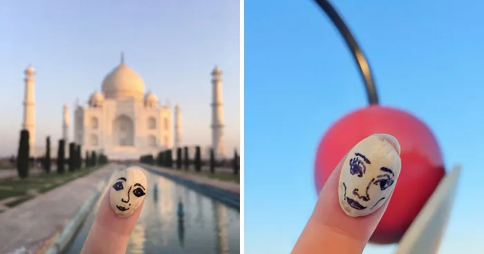 Pisface - Art Abandonment Project Of Travelling Pistachio Face