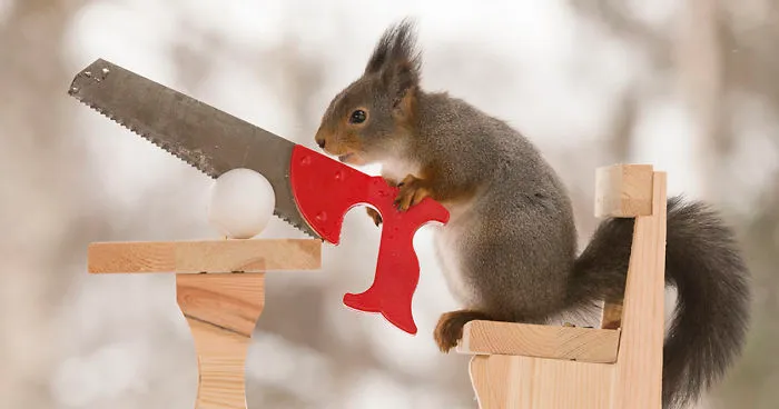 Wild Squirrels Celebrate Easter