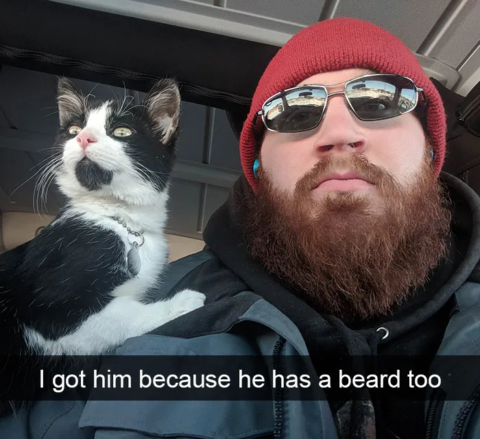 159 Hilarious Cat Snapchats That Will Leave You With The Biggest Smile (New Pics)
