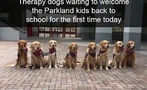 228 Funny And Cute Dog Snapchats That Will Make Your Day (New Pics)