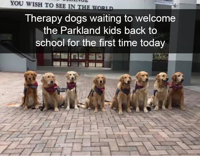 228 Funny And Cute Dog Snapchats That Will Make Your Day (New Pics)