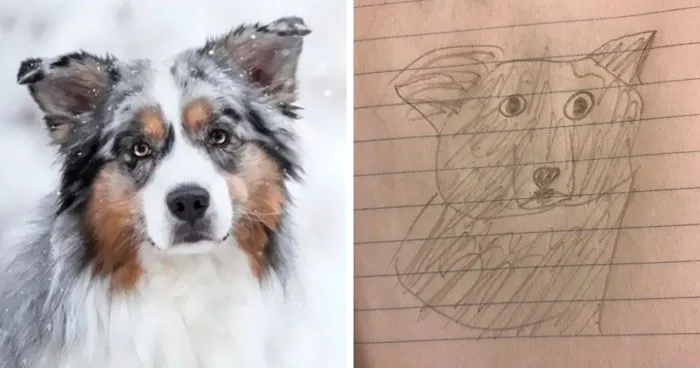 Student Takes Portrait Requests, And The Result Is So Hilariously Bad That People Want More