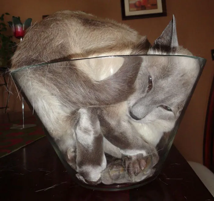 I Am So Comfortable