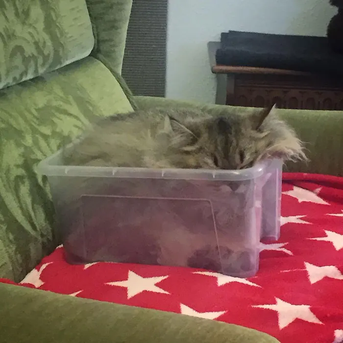 Water Mode Activated