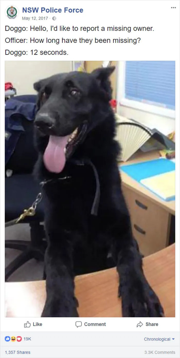 Doggo Joke