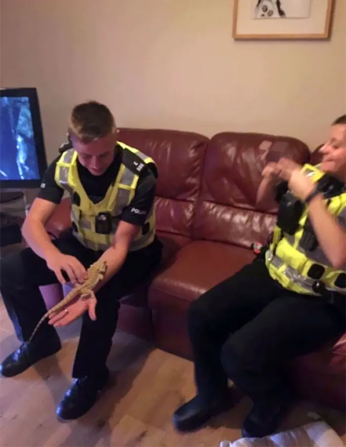 Cuando viene la policía a tu casa y les interesa más tu dragón barbudo que tú