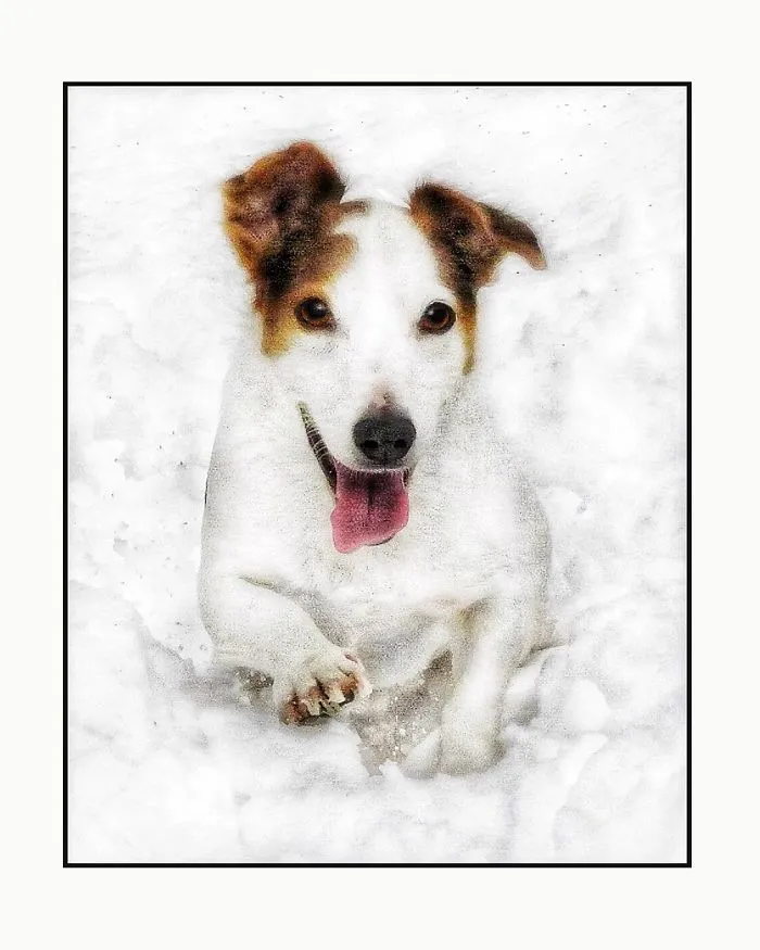 Newman In The Snow