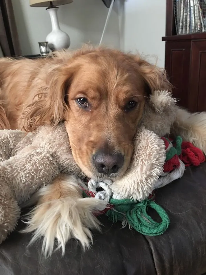Not Happy