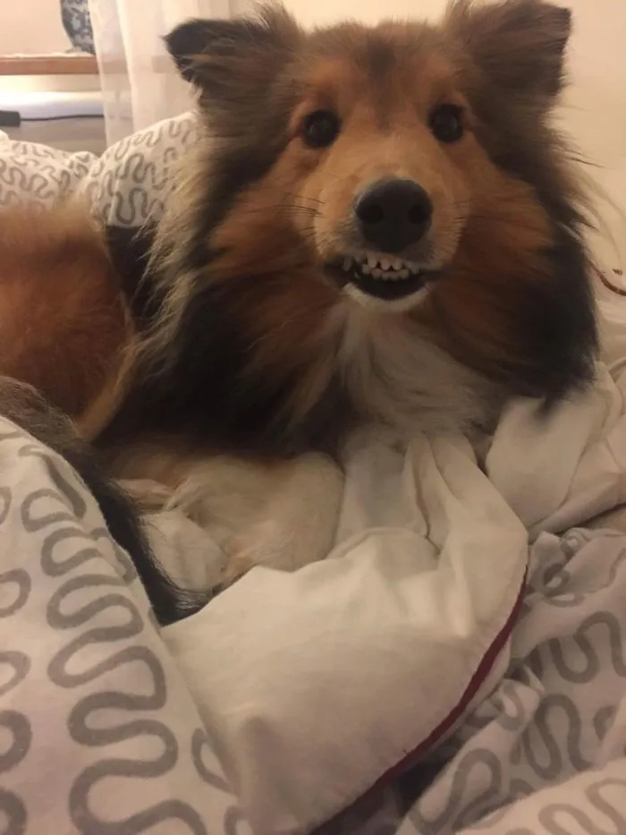When You Are Forced To Smile