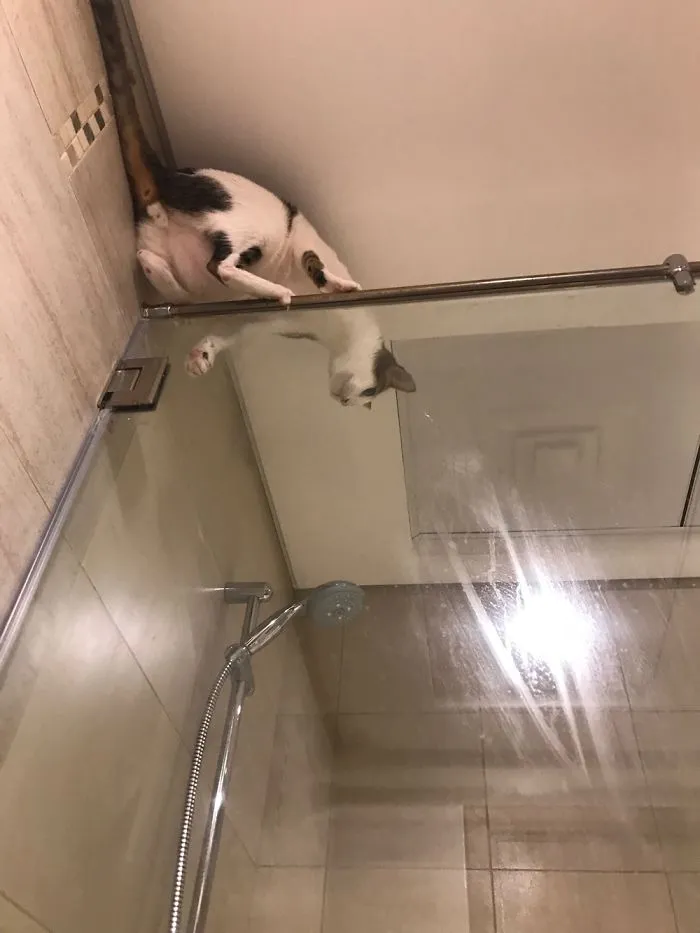 I Thought It Would Be Fun To Climb Here...