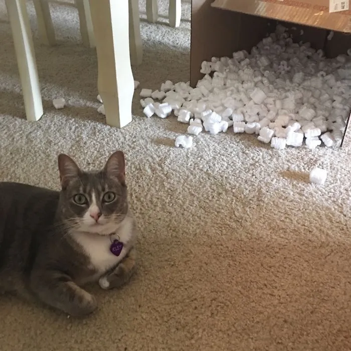 What Box?