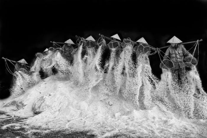 Salt Field Workers, Altered Images Finalist