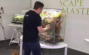 Rainforest Scape In A Smart Microhabitat