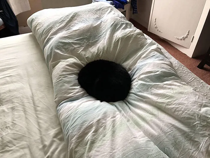 Ha aparecido un agujero negro en medio de la cama