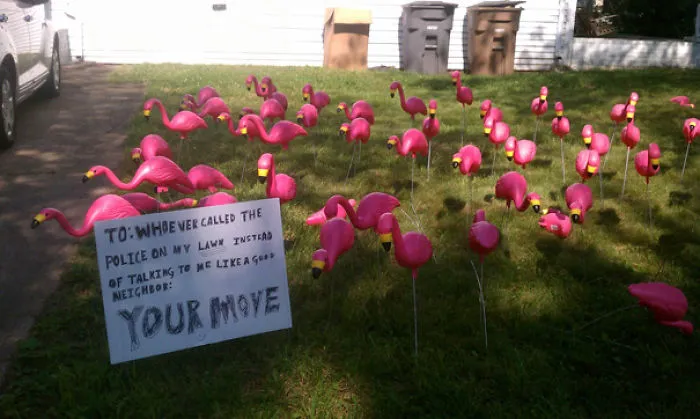 So My Neighbors Had A Dispute