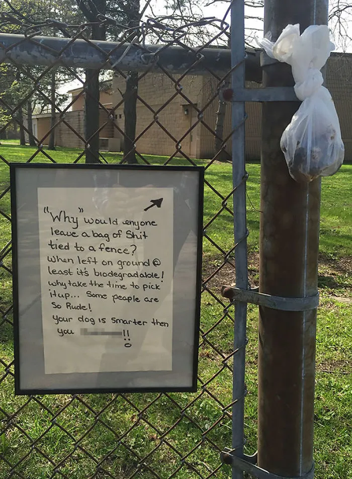 The Neighbourhood Reacts To Idiot's Poop Bag
