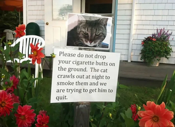 Please Stop, He Needs To Quit