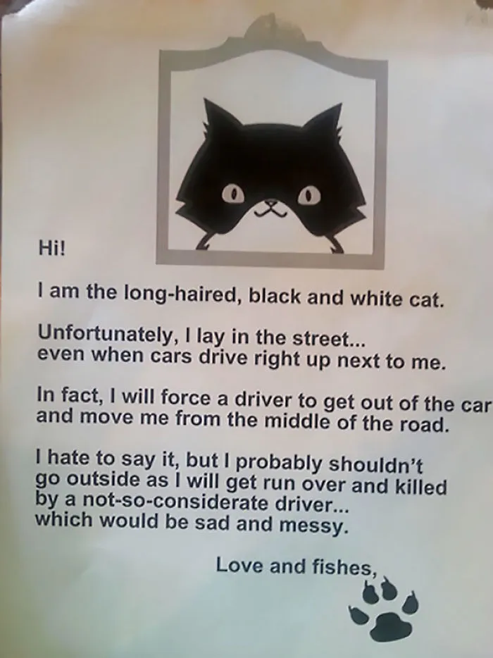 Does Your Cat Have A Death Wish?