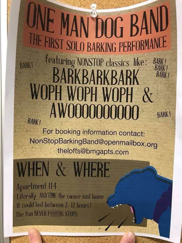 One Man Dog Band