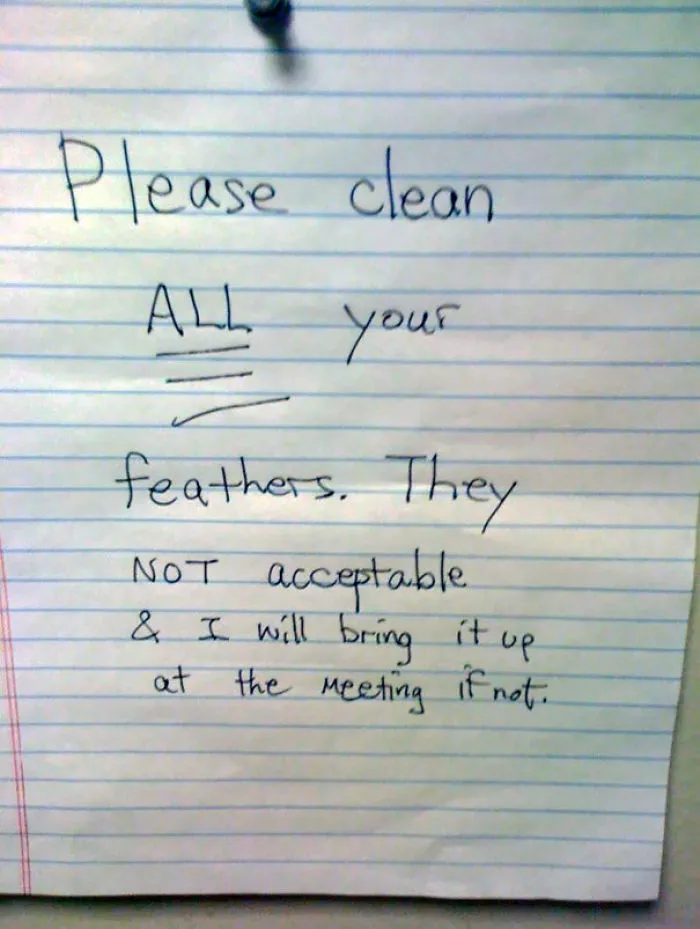 Please Clean All Your Feathers