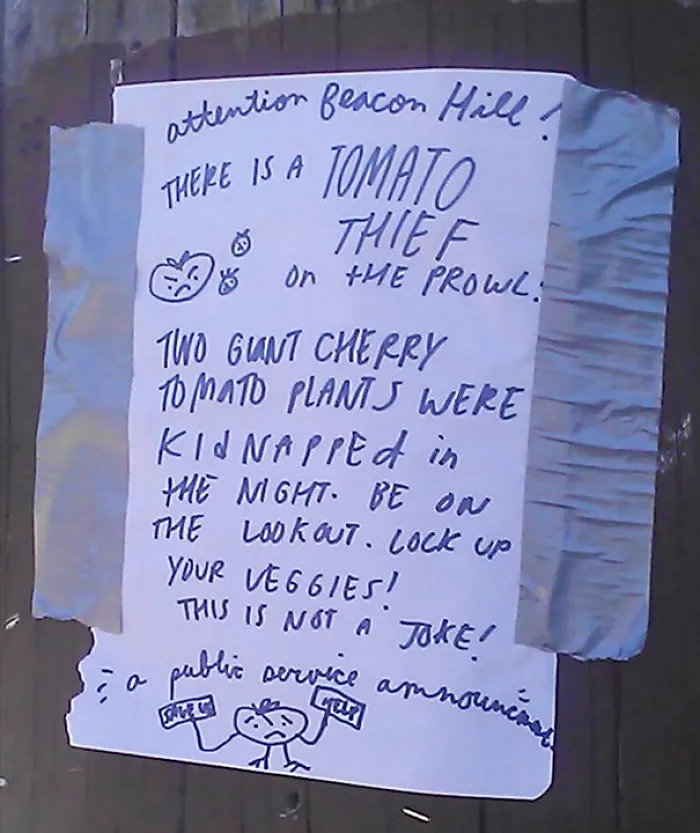 Tomato Thief