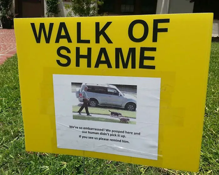 The Sign Posted In Our Yard In The Fight Against Unwanted Dog Poop