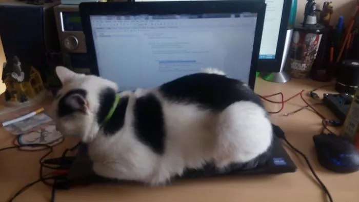 I'll Stay Home And Do Some Programming...