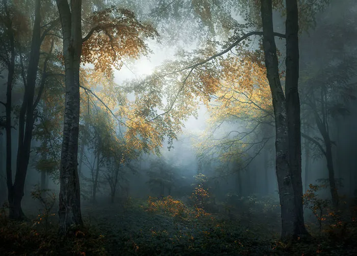 Veselin Atanasov, Bulgaria National Award