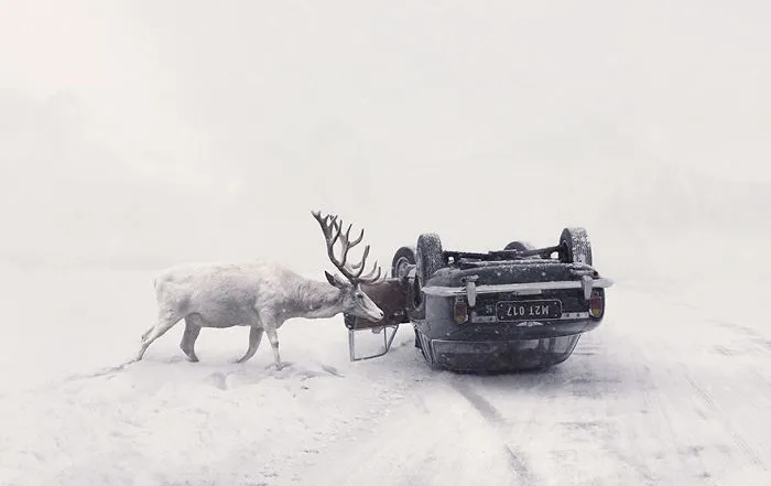 Martin Stranka,  Czech Republic National Award