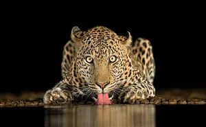 The Winners Of The 2018 Sony World Photography Awards Have Been Announced